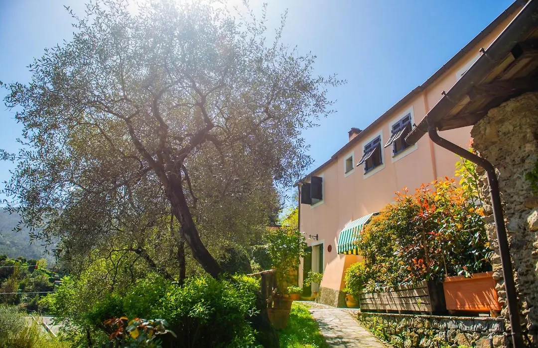 Agriturismo Villa Caterina-1